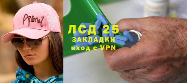 соль ск Алзамай