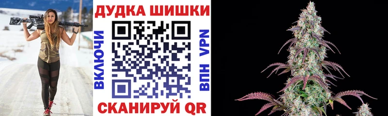 Купить где  Сланцы  Конопля план 